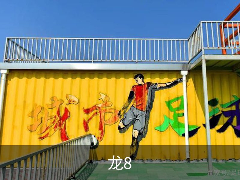 关于龙8